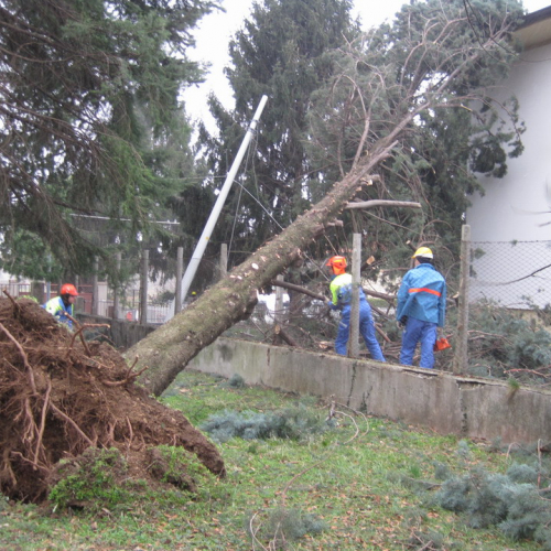 Interventi maltempo 10/03 n. 24 / 49142