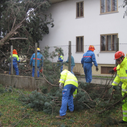 Interventi maltempo 10/03 n. 25 / 49143