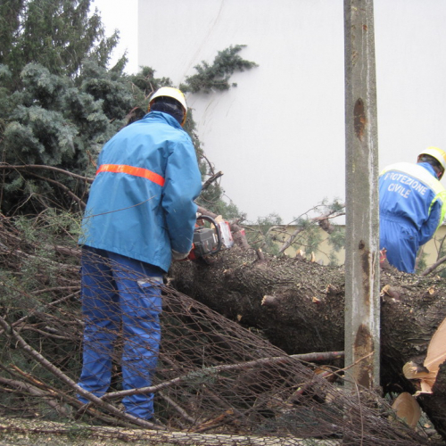 Interventi maltempo 10/03 n. 27 / 49145