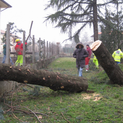 Interventi maltempo 10/03 n. 28 / 49146