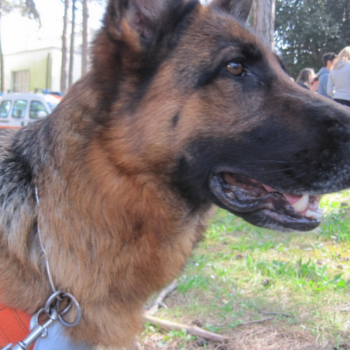 Campi scuola (02.04.14) n. 2 / 107463