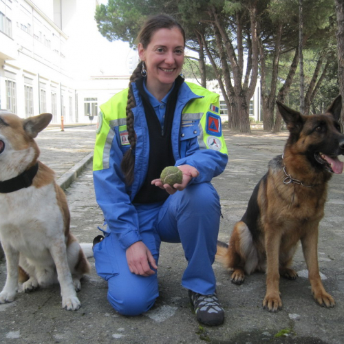 Campi scuola (02.04.14) n. 11 / 107472