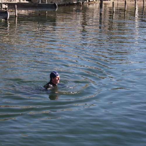 Aquavis - Iportermia 2011 n. 25 / 61254