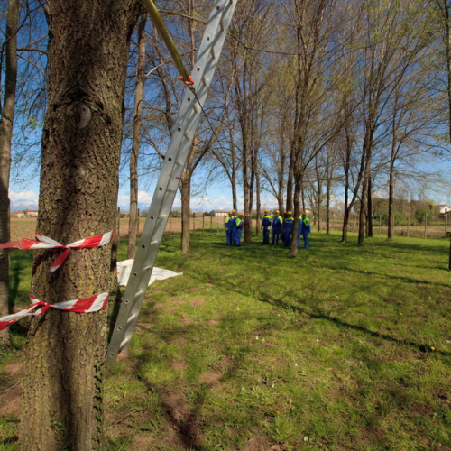 Addestramento a San Vito 13/04 n. 41 / 93750