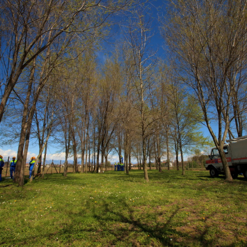 Addestramento a San Vito 13/04 n. 70 / 93779