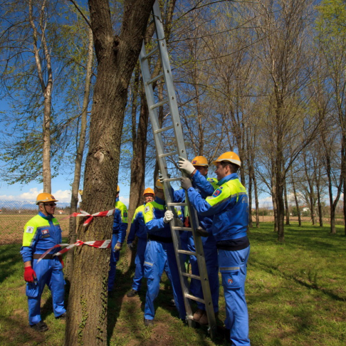 Addestramento a San Vito 13/04 n. 71 / 93780