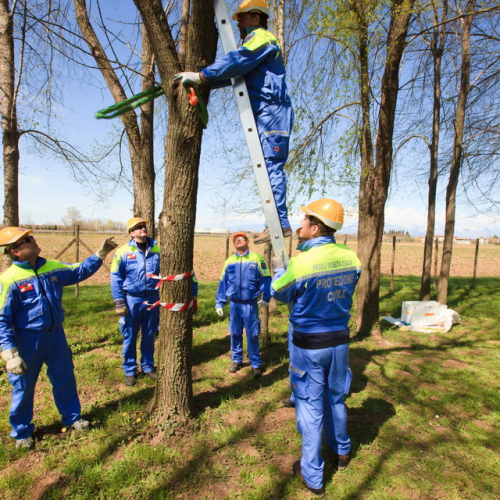 Addestramento a San Vito 13/04 n. 72 / 93781