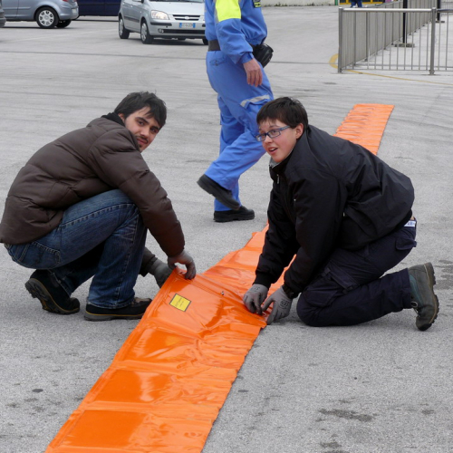 Stage Lignano 31/03 antinquinamento n. 1 / 38706