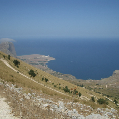 foto eseguite dai volontari 8 / 16392