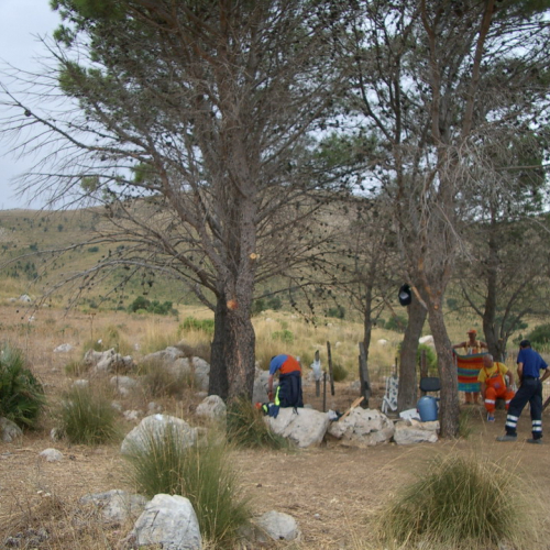 foto eseguite dai volontari 12 / 16396