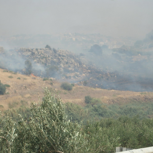 foto eseguite dai volontari 15 / 16399