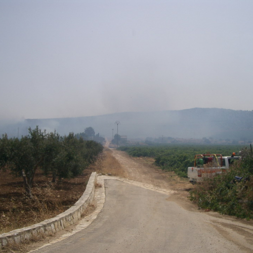 foto eseguite dai volontari 16 / 16400