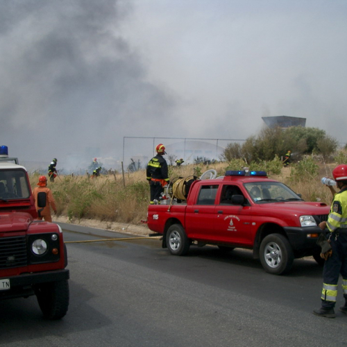 foto eseguite dai volontari 18 / 16402