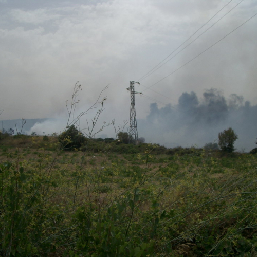 foto eseguite dai volontari 19 / 16403