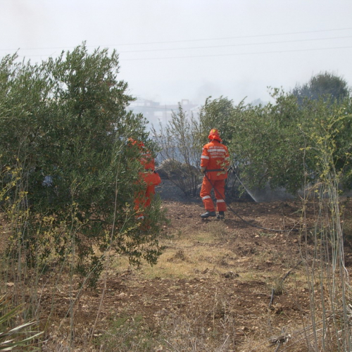 foto eseguite dai volontari 20 / 16404