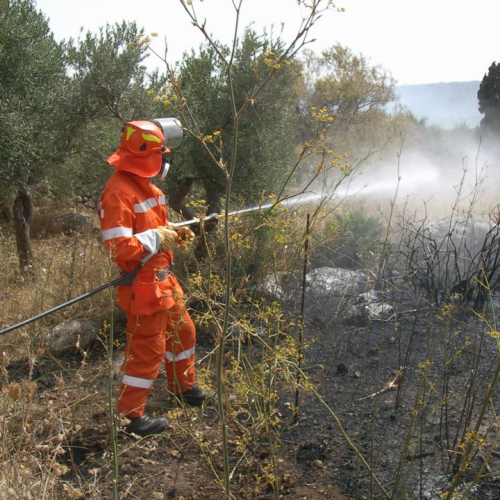 foto eseguite dai volontari 22 / 16406