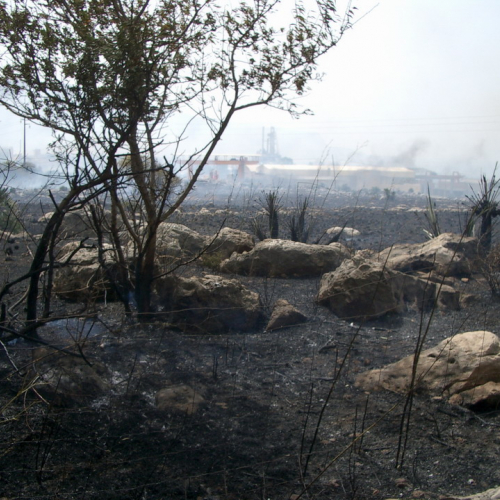 foto eseguite dai volontari 24 / 16408