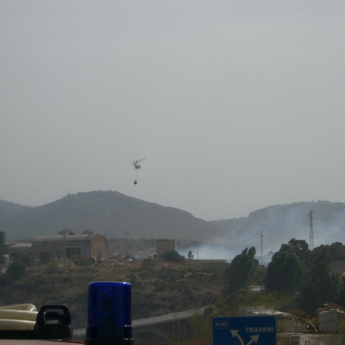 foto eseguite dai volontari 25 / 16409