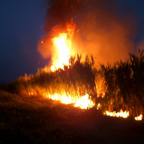 foto eseguite dai volontari 27 / 16411