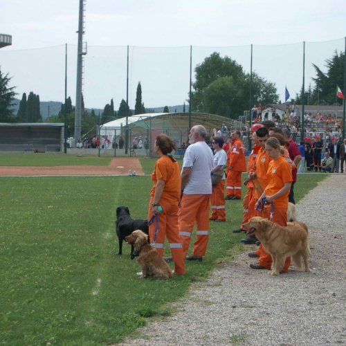 Attivit‡ 27 luglio n. 13 / 27767