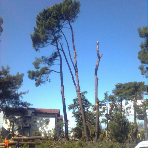 Intervento volontari 24/07 n. 1 / 56863