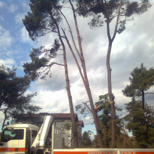 Intervento volontari 24/07 n. 3 / 56865