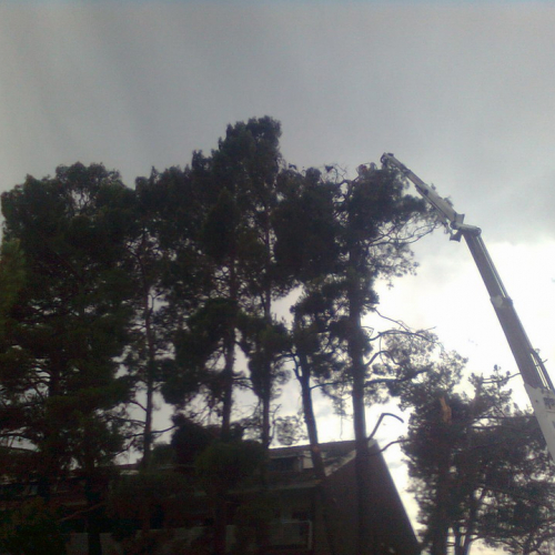 Intervento volontari 24/07 n. 4 / 56866