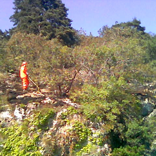 incendio Campeggio Obelisco f. 2 / 15438