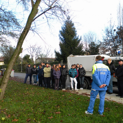 Piantumazione  alberi n. 1 / 58758