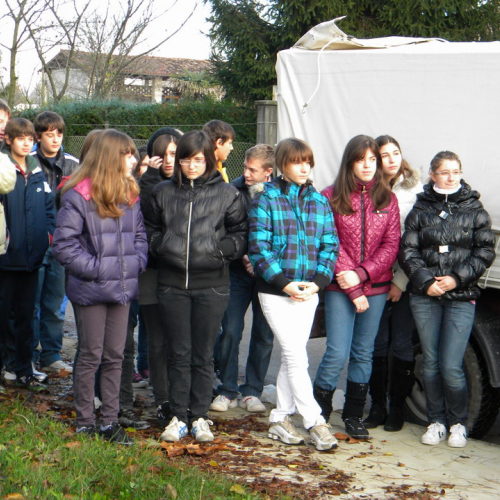 Piantumazione  alberi n. 7 / 58764