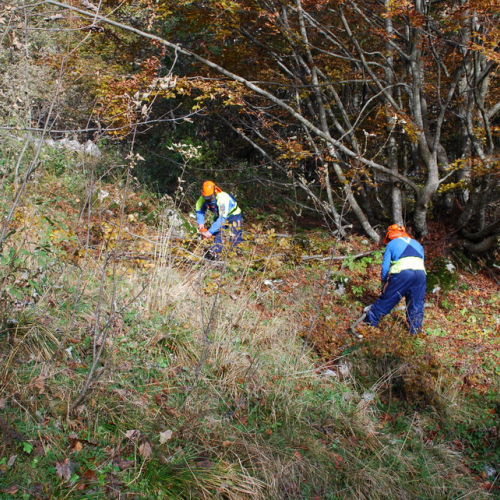 Esercitazione 25/10 n. 10 / 44051