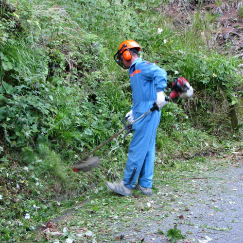 Intervento strada per il monte Tenchia n. 2 / 54876