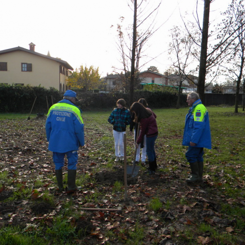 Piantumazione  alberi n. 9 / 58766