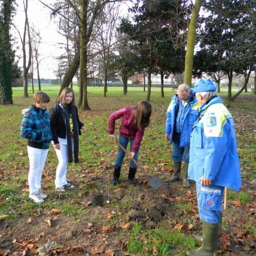 Piantumazione  alberi n. 10 / 58767