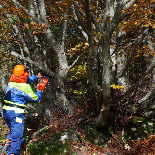 Esercitazione 25/10 n. 13 / 44054