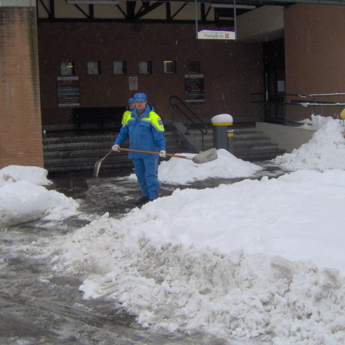 Milano 07/01/09 n. E 3 / 33956