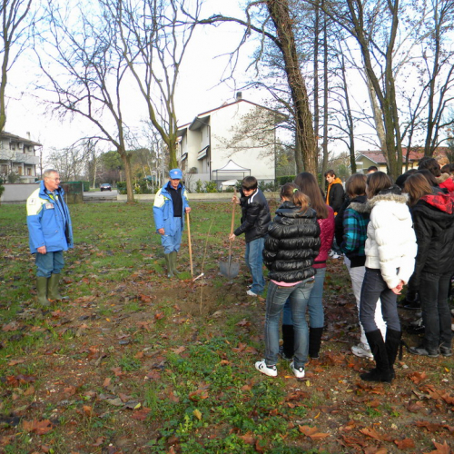 Piantumazione  alberi n. 11 / 58768