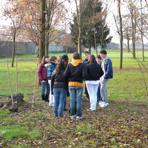 Piantumazione  alberi n. 15 / 58772