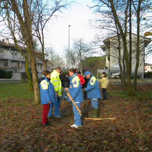 Piantumazione  alberi n. 17 / 58774