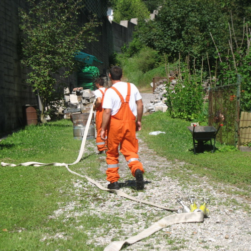 Attivit‡ dimstrativa 05/08 n. 7 / 41351