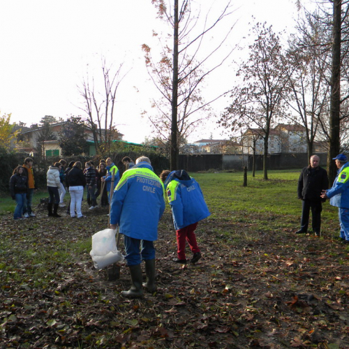 Piantumazione  alberi n. 20 / 58777