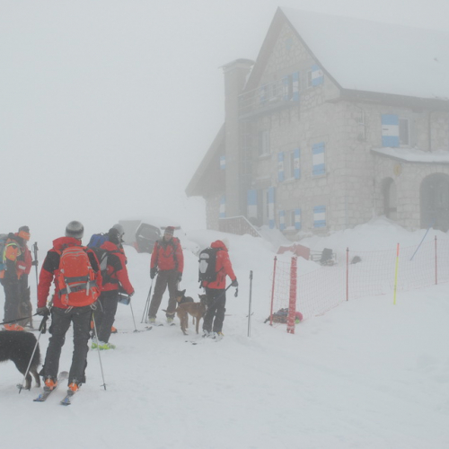 Esercitazione a Sella Nevea del 21/02 n. 24 / 91360