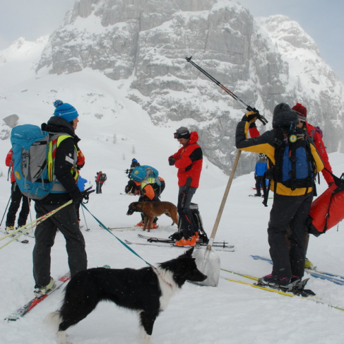 Esercitazione a Sella Nevea del 21/02 n. 28 / 91364