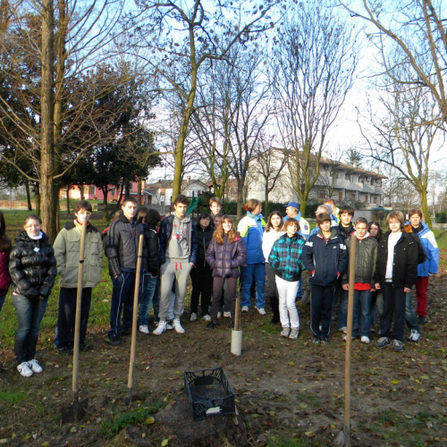 Piantumazione  alberi n. 23 / 58780