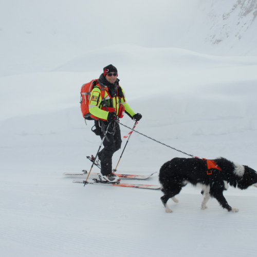 Esercitazione a Sella Nevea del 21/02 n. 30 / 91366
