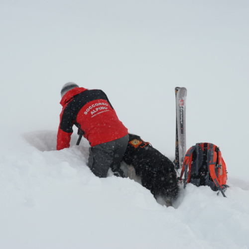 Esercitazione a Sella Nevea del 21/02 n. 31 / 91367