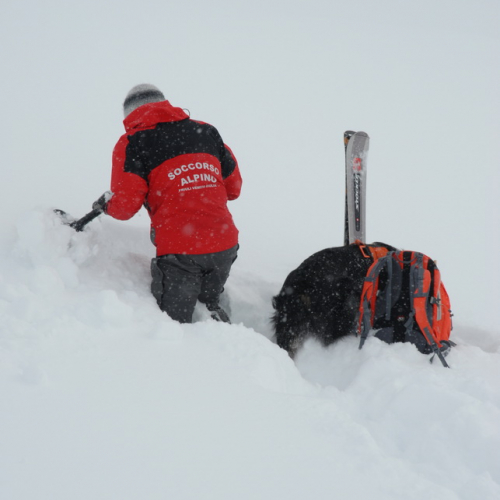 Esercitazione a Sella Nevea del 21/02 n. 32 / 91368