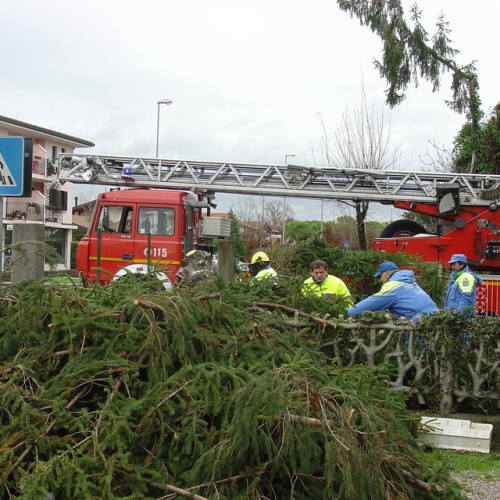 interventi volontari 01/12 n. 32 / 32709