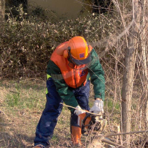 Addestramento a Palazzolo dello Stella - foto Turco 2 / 35923