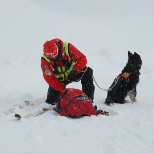 Esercitazione a Sella Nevea del 21/02 n. 33 / 91369